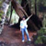 Xing Fa Ting Honey Bean Sorbet